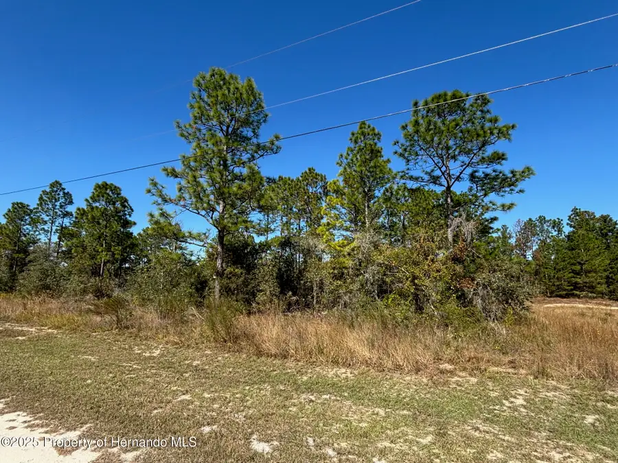 Lot 16 Calypso Avenue, Weeki Wachee, FL 34614 - Image #3