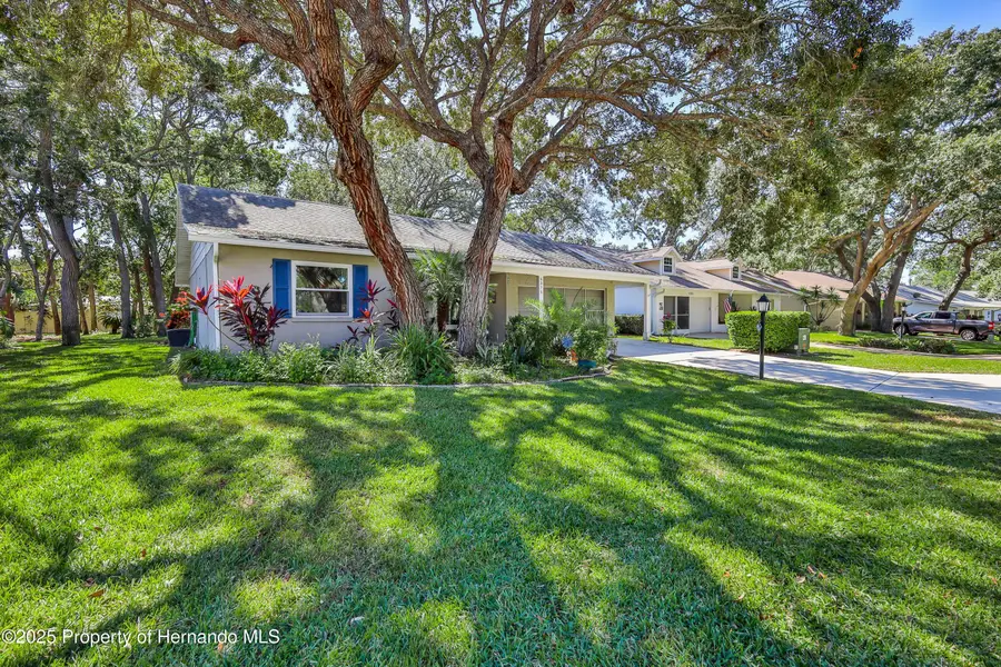 6375 Ocean Pines Lane, Spring Hill, FL 34606 - Image #3