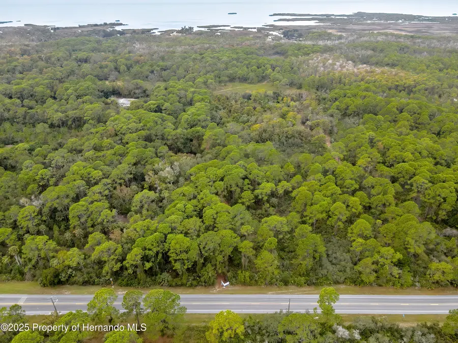 0 Shoal Line Boulevard, Spring Hill, FL 34607 - Image #3