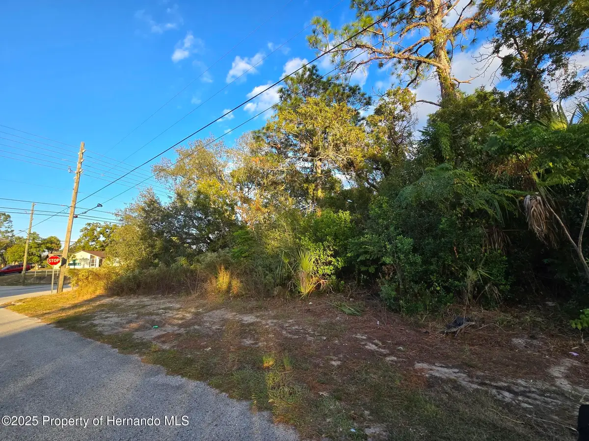 11290 Spring Hill Drive, Spring Hill, FL 34609 - Image #1