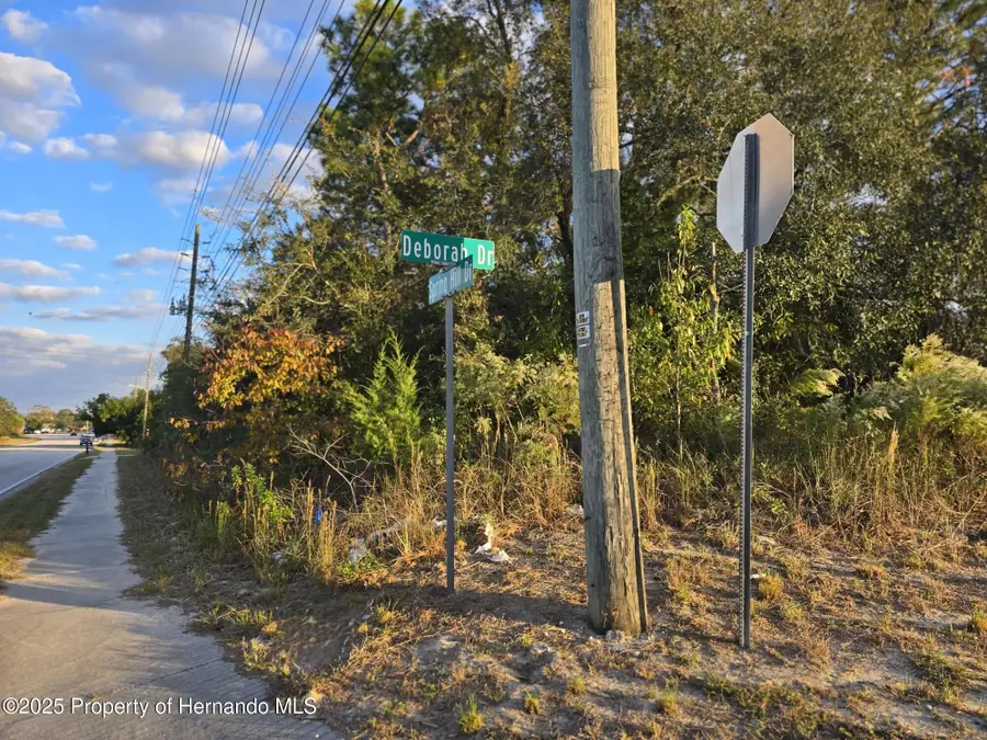 11290 Spring Hill Drive, Spring Hill, FL 34609 - Image #3