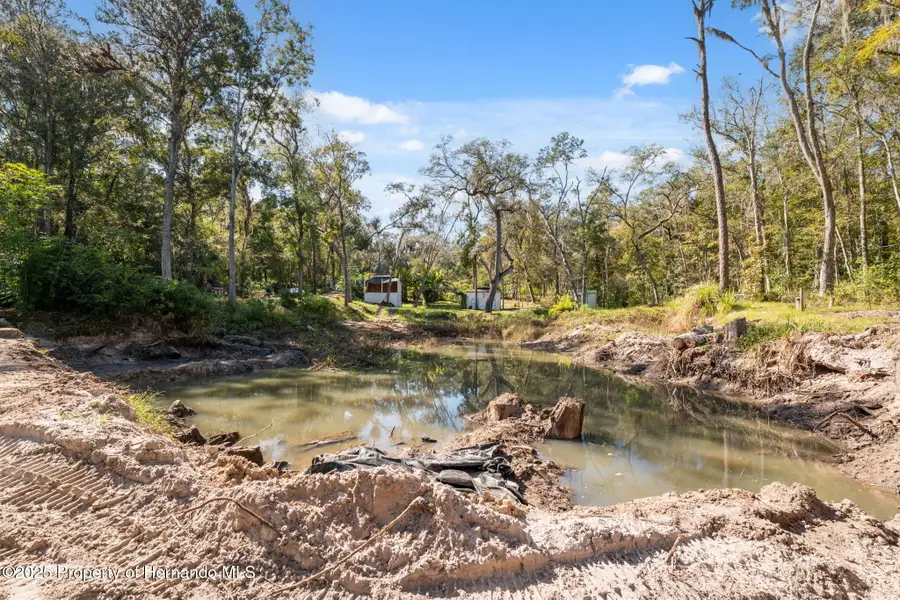 0 Neff Lake Road, Brooksville, FL 34601 - #3