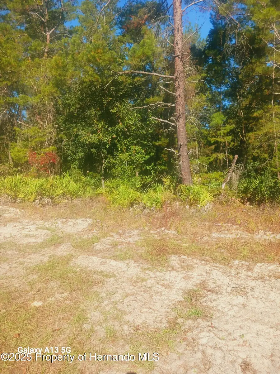 6407 W Oak Park Boulevard, Homosassa, FL 34446 - Image #2