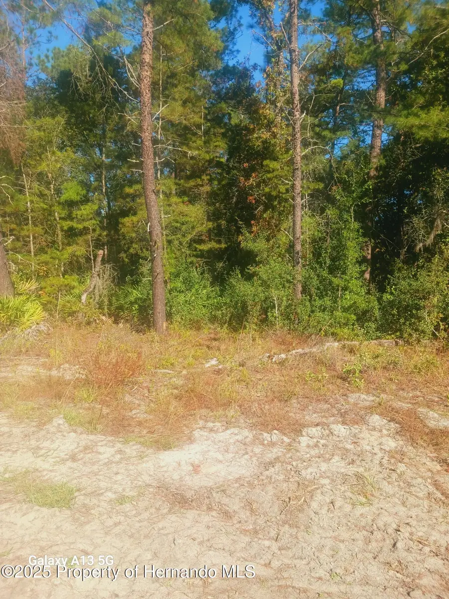 6407 W Oak Park Boulevard, Homosassa, FL 34446 - Image #3