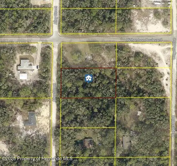 LOT 15 Alloy St, Webster, FL 33597 - Image #1