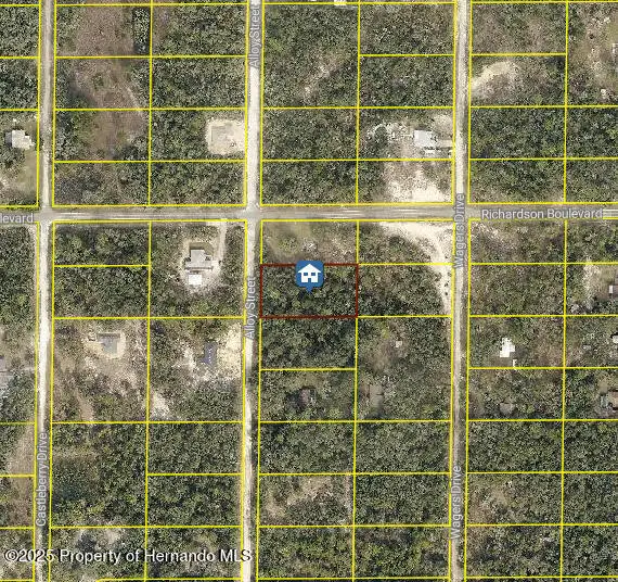 LOT 15 Alloy St, Webster, FL 33597 - Image #2