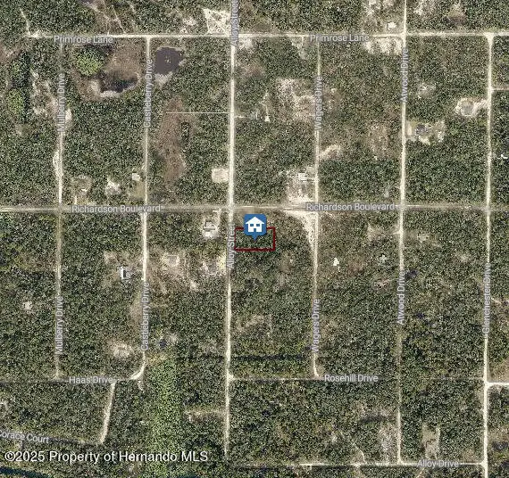 LOT 15 Alloy St, Webster, FL 33597 - Image #3