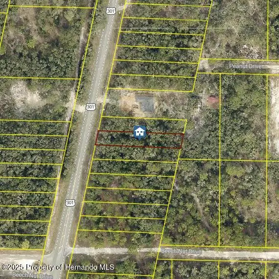 LOT 28 Treiman Blvd, Webster, FL 33597 - Image #1