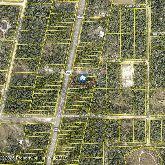 LOT 28 Treiman Blvd, Webster, FL 33597 - Image #2