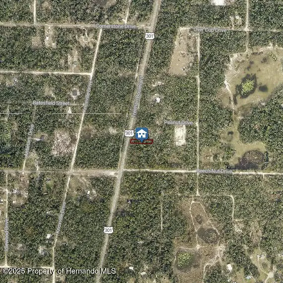 LOT 28 Treiman Blvd, Webster, FL 33597 - Image #3