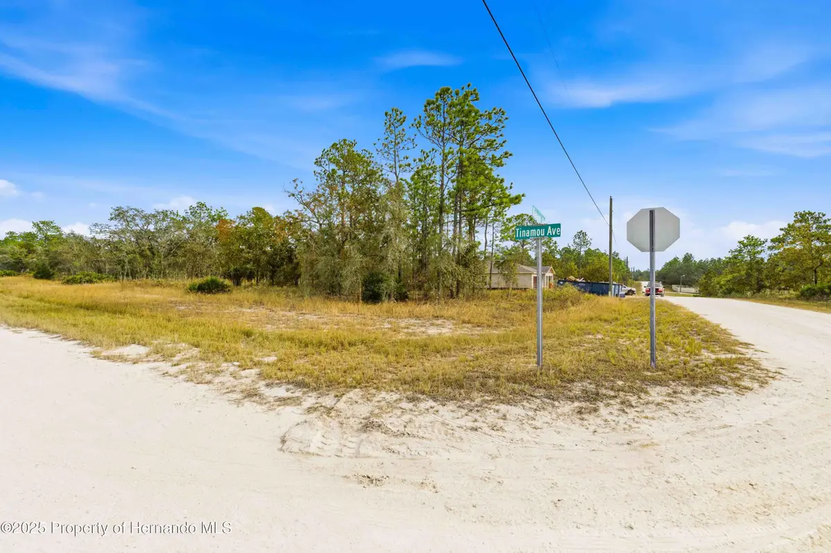 0 Tinamou Avenue, Weeki Wachee, FL 34614 - Image #1