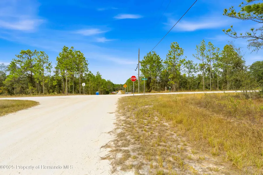 0 Tinamou Avenue, Weeki Wachee, FL 34614 - Image #2