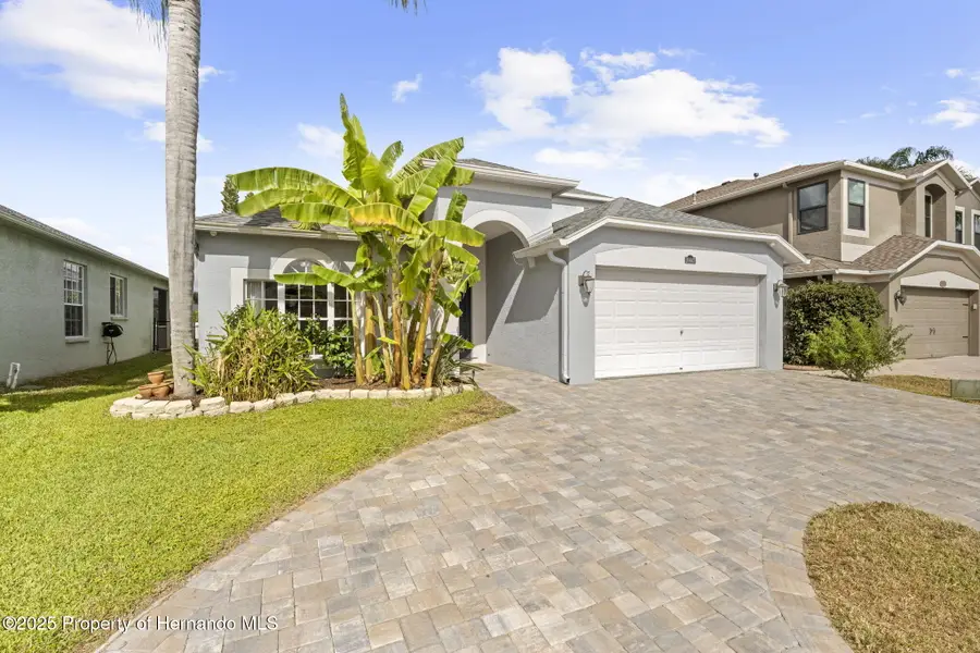 10447 Peppergrass Court, Trinity, FL 34655 - Image #3