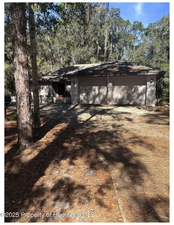 20305 Gamble Drive, Brooksville, FL 34601
