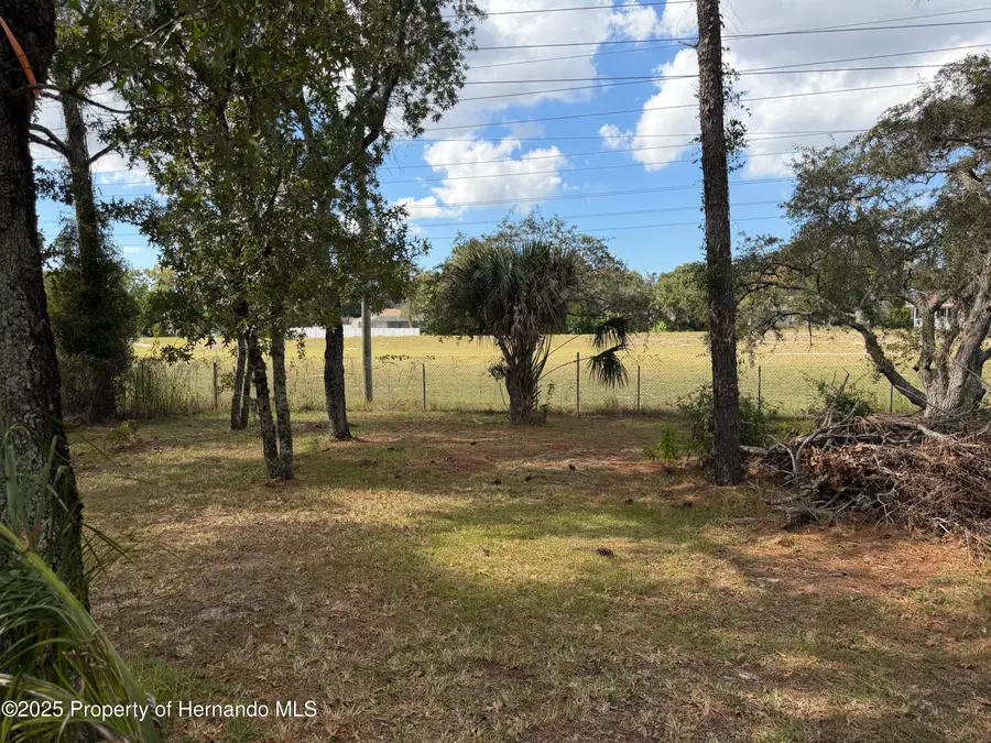 1509 Finland Drive, Spring Hill, FL 34609 - Image #3