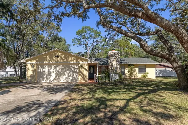 8291 Arab Lane, Spring Hill, FL 34608