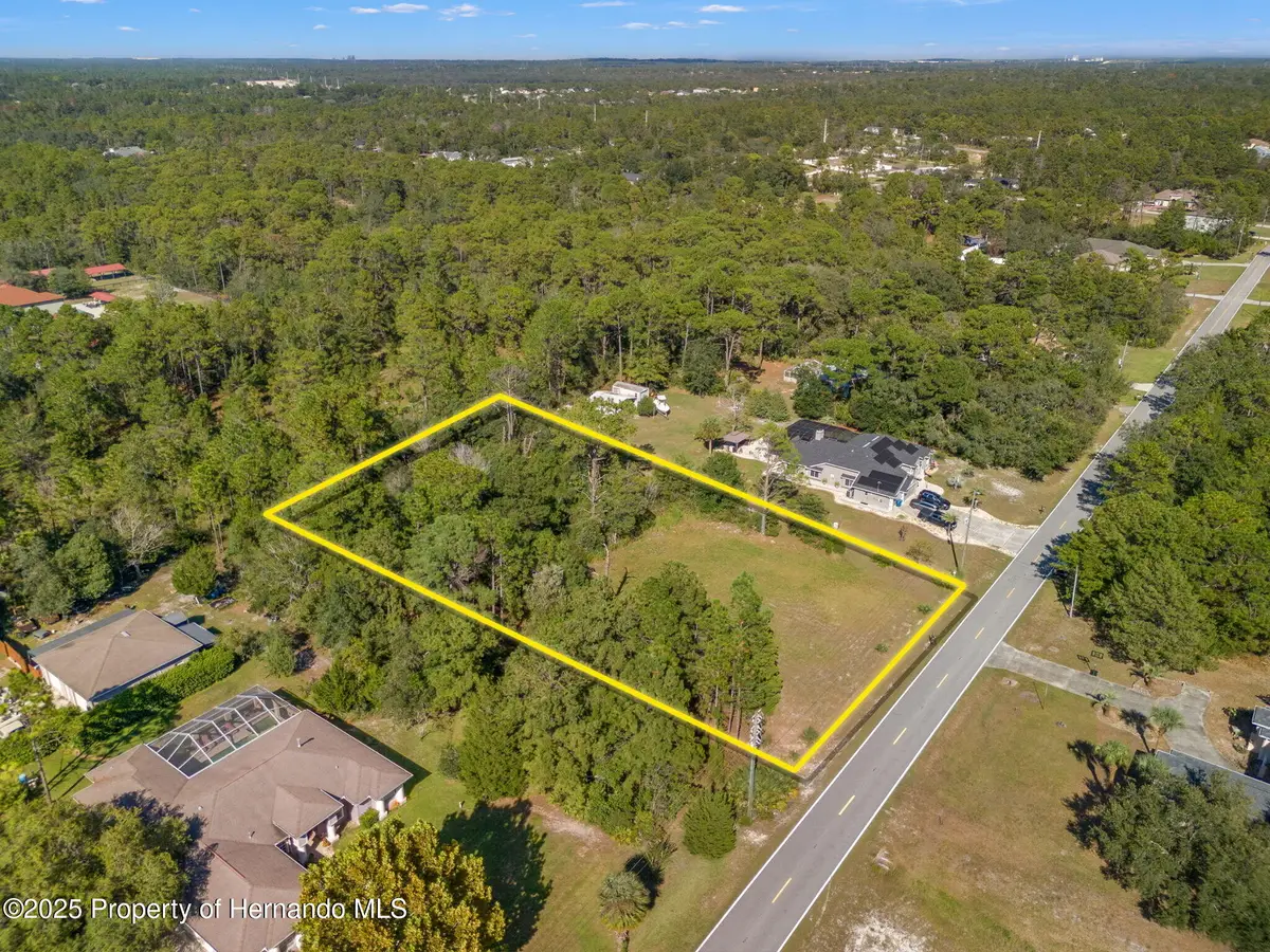 11039 Fulton Avenue, Weeki Wachee, FL 34613 - #1