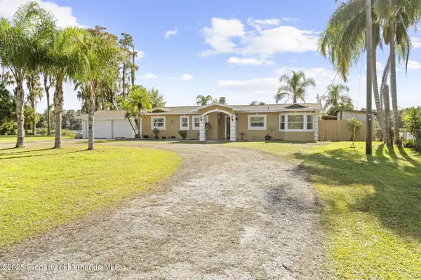20228 County Line Road, Lutz, FL 33558