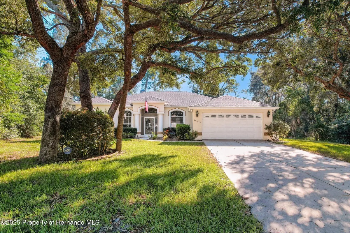 10248 Jollett Street, Spring Hill, FL 34608 - Image #1