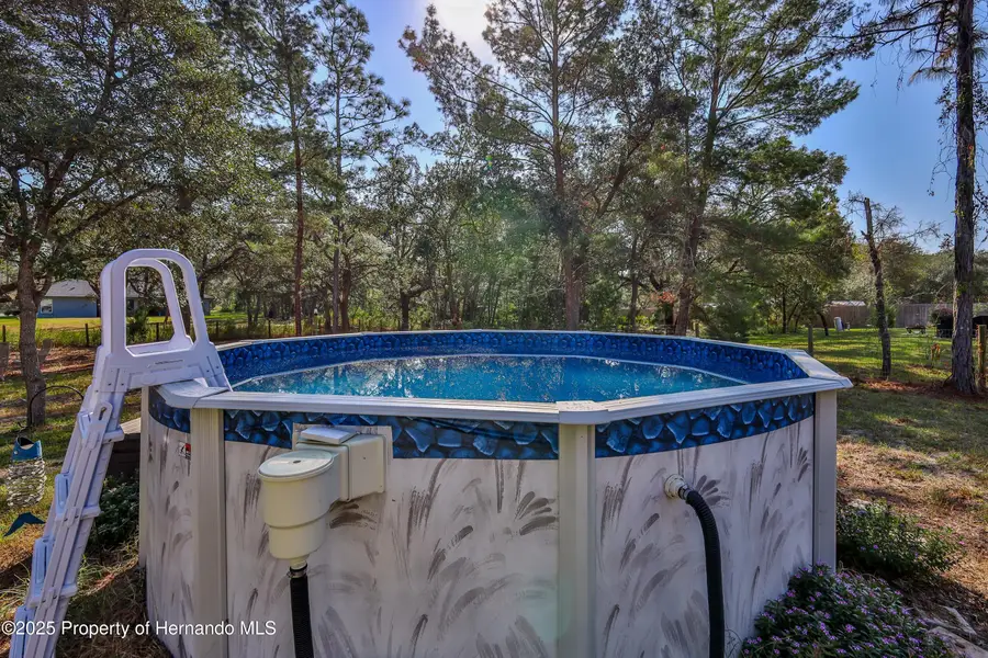 12184 Lark Sparrow Road, Weeki Wachee, FL 34614 - Image #3