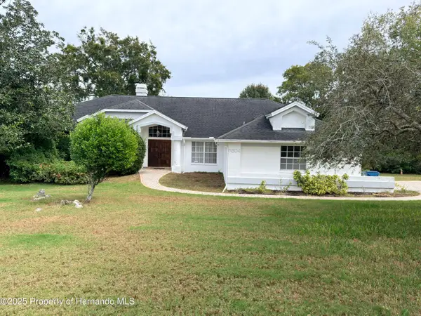 5304 Patricia Place, Weeki Wachee, FL 34607