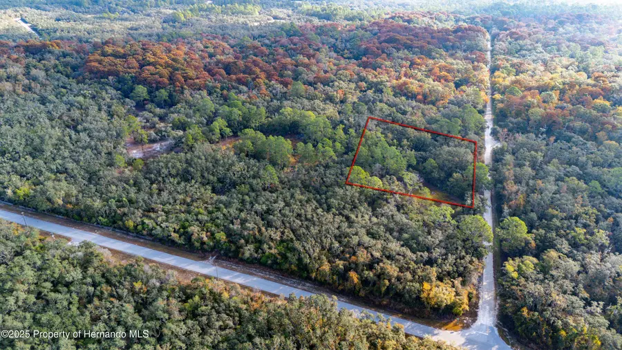 0 Rose Bloom Lot 5 Avenue, Webster, FL 33597 - Image #2