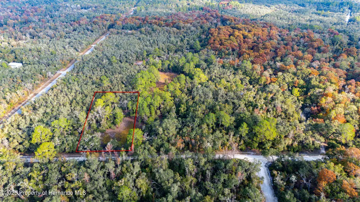 0 Rose Bloom Lot 7 Avenue, Webster, FL 33597 - Image #1