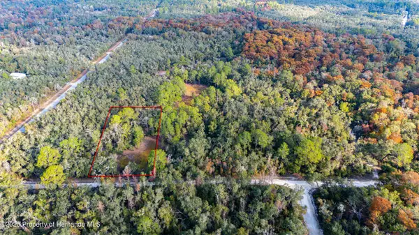 0 Rose Bloom Lot 7 Avenue, Webster, FL 33597