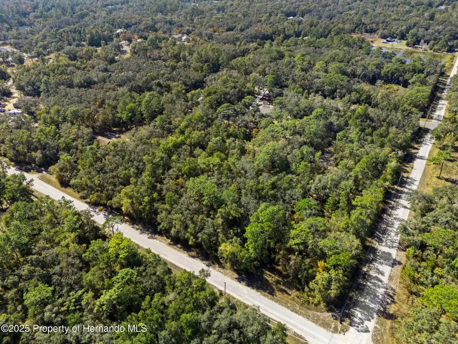 0 Norway Street, Webster, FL 33597 - Image #3