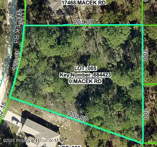 17460 Macek Road, Weeki Wachee, FL 34614 - Image #2