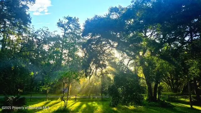 5043 Goodwin Road, Brooksville, FL 34601 - Image #3