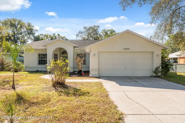 10290 Adler Street, Spring Hill, FL 34608