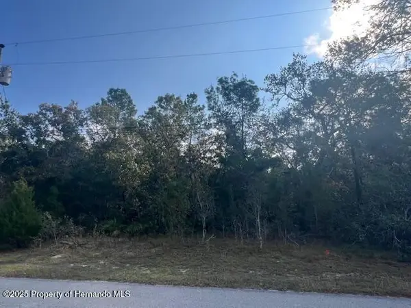 3328 Horseshoe Lane, Spring Hill, FL 34606