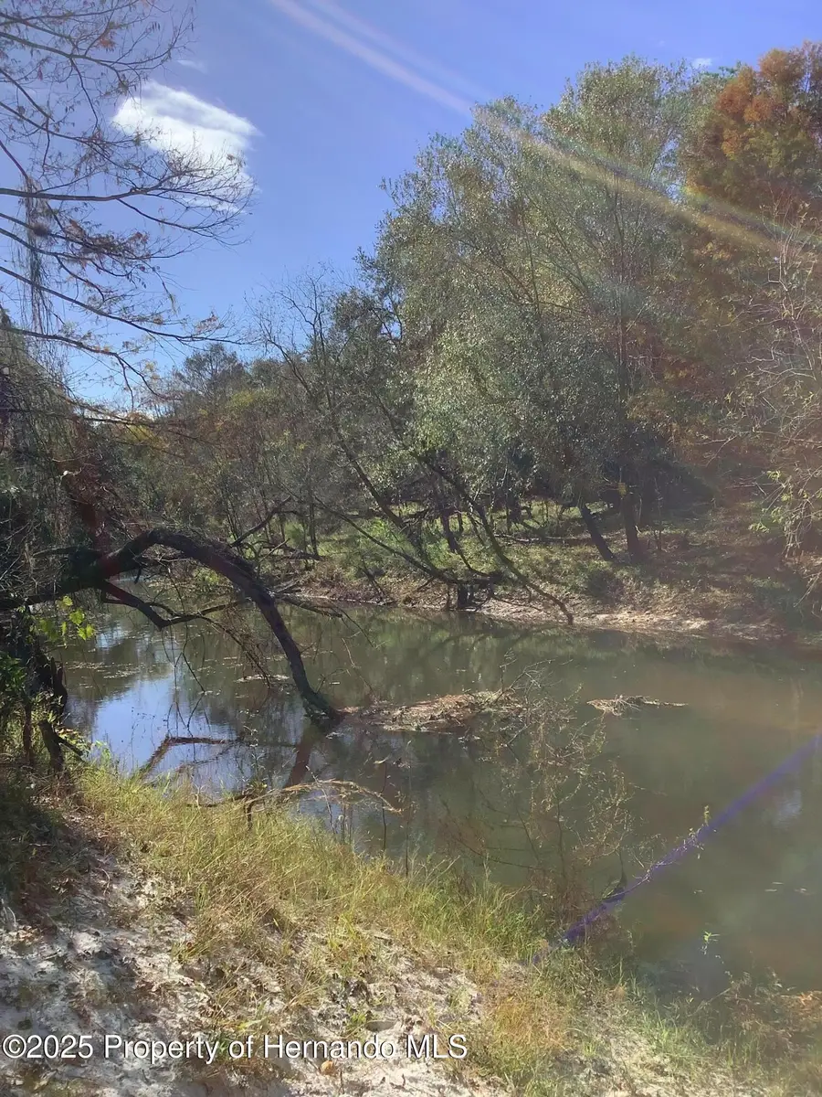 0 Riverview Drive, Webster, FL 33597 - Image #2