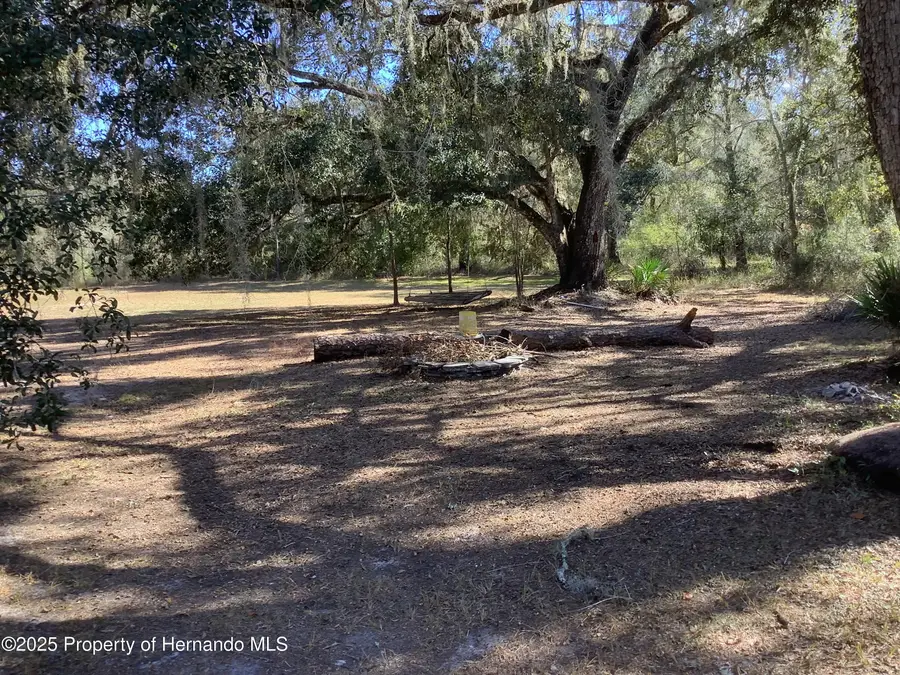 0 Riverview Drive, Webster, FL 33597 - Image #3