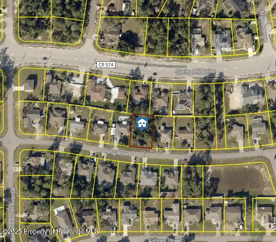 LOT 23 Ring Rd, Spring Hill, FL 34609 - Image #2