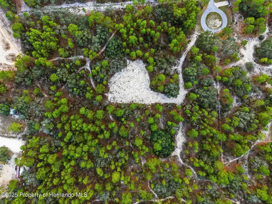 00 Hidden Deer Trail, Weeki Wachee, FL 34614 - Image #3