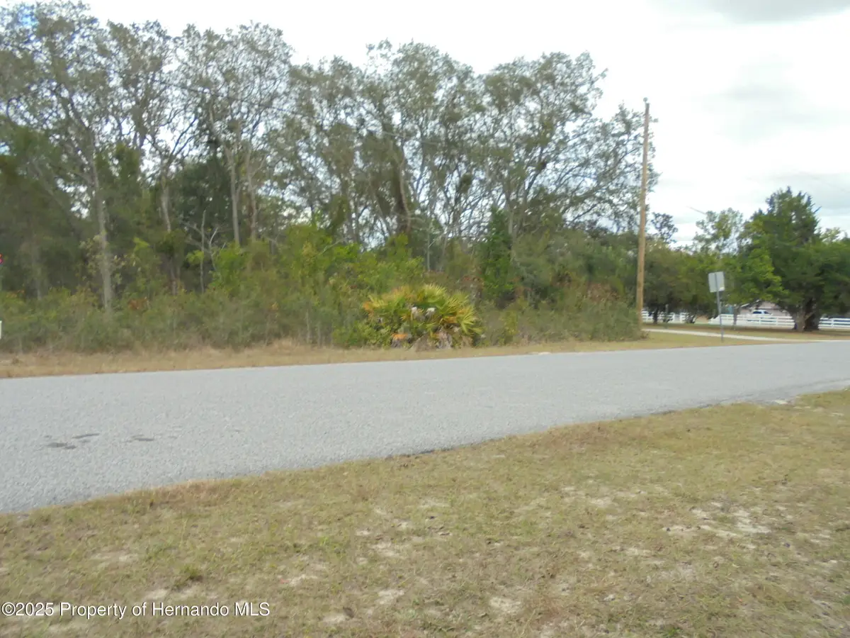 0 Fiscus Drive, Shady Hills, FL 34610 - Image #1