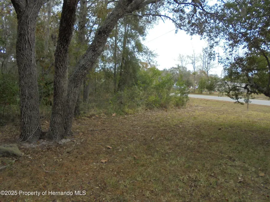 0 Fiscus Drive, Shady Hills, FL 34610 - Image #2