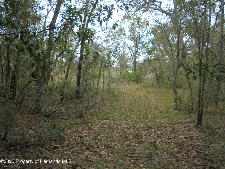 0 Fiscus Drive, Shady Hills, FL 34610 - Image #3