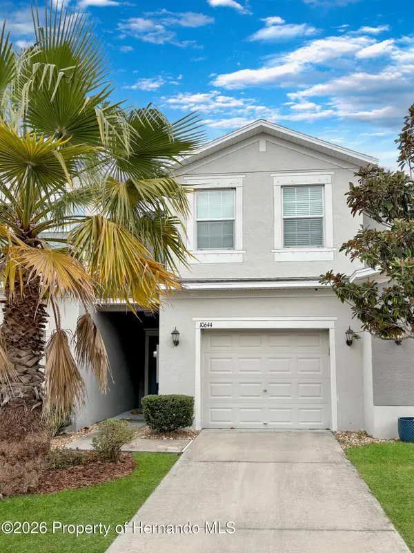 10644 Lake Montauk Drive, Riverview, FL 33578