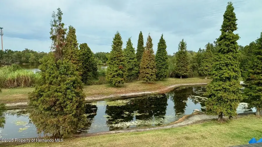 10644 Lake Montauk Drive, Riverview, FL 33578 - #2