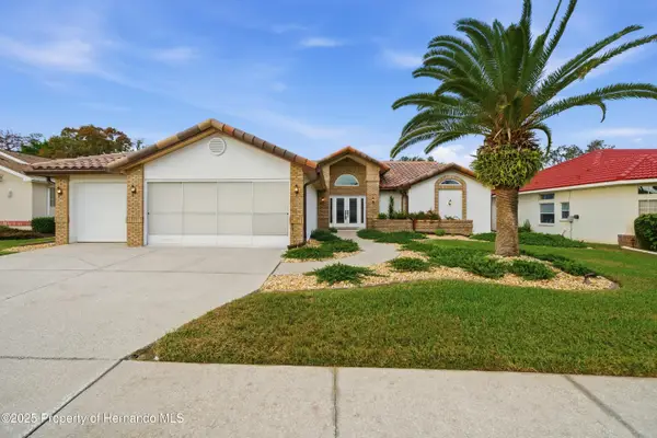 10519 Audie Brook Drive, Spring Hill, FL 34608