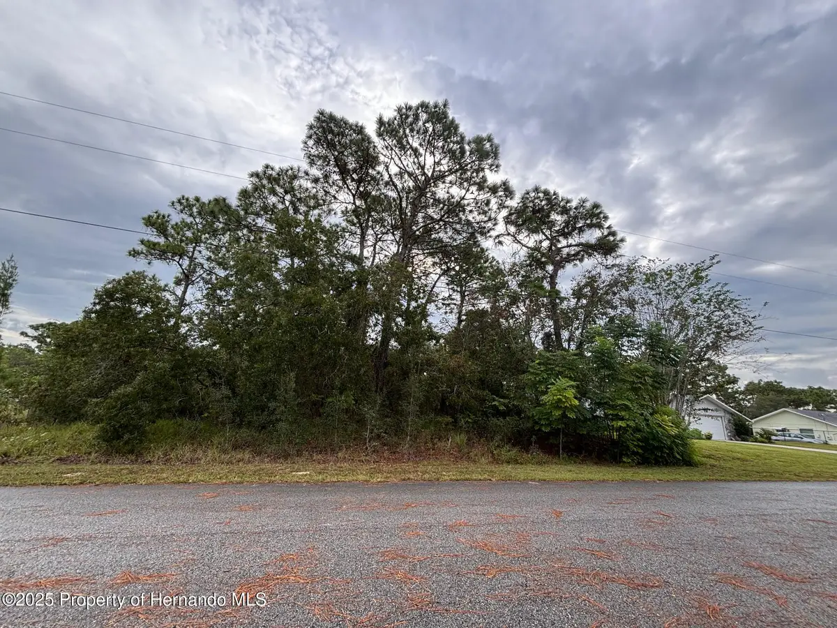 Lot 8 Nuzum Road, Weeki Wachee, FL 34613 - Image #1