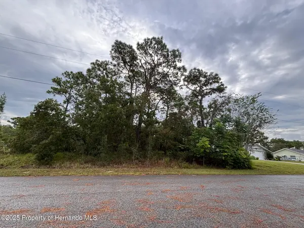 Lot 8 Nuzum Road, Weeki Wachee, FL 34613