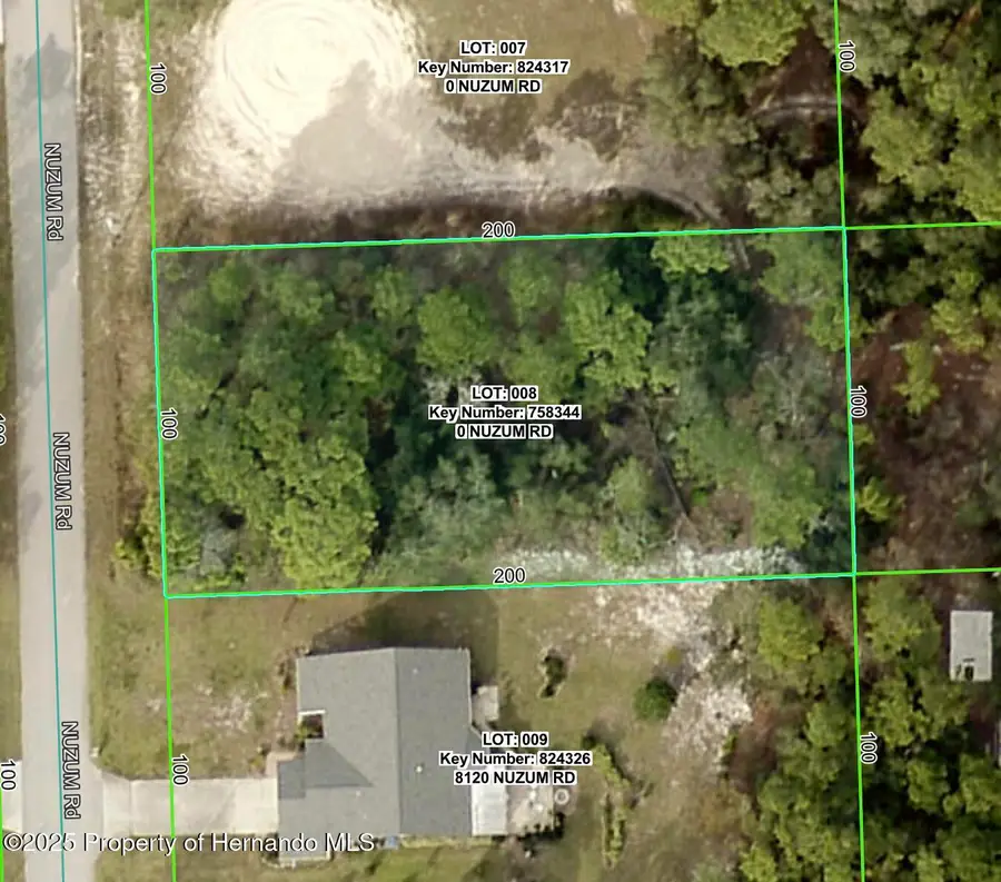 Lot 8 Nuzum Road, Weeki Wachee, FL 34613 - Image #2