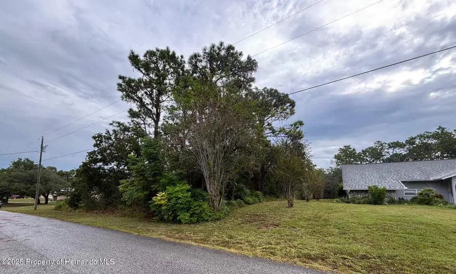 Lot 8 Nuzum Road, Weeki Wachee, FL 34613 - Image #3