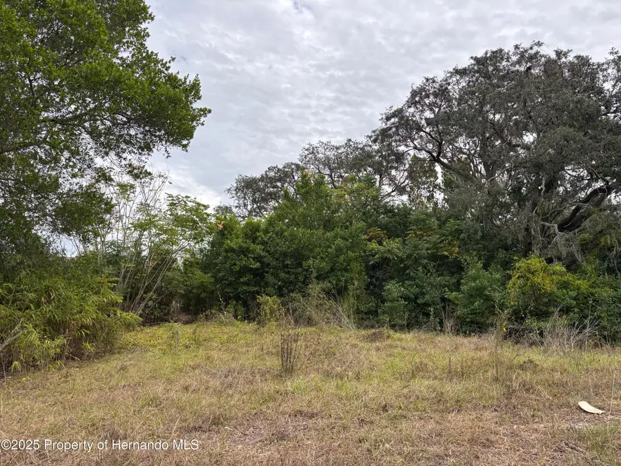 6330 Kelvin Court, Spring Hill, FL 34606 - Image #3