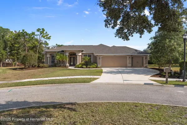 13097 Pastore Court, Spring Hill, FL 34609