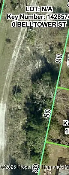 0 Belltower, Spring Hill, FL 34608 - Image #3